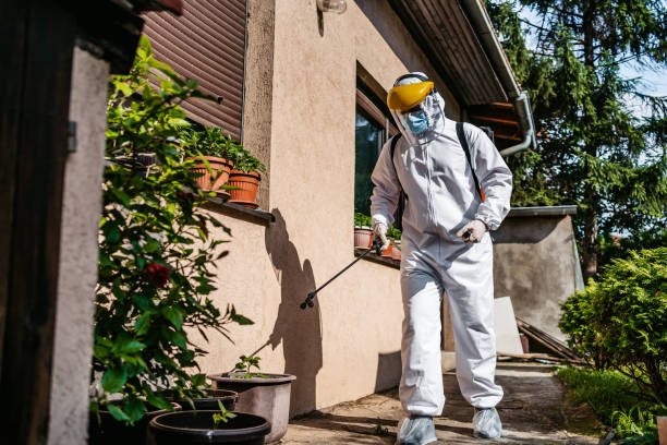 Best Pest Control Near Me  in Silver Springs, FL