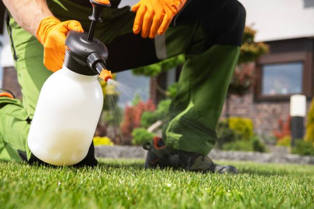 Best Flea Control Services  in Silver Springs, FL