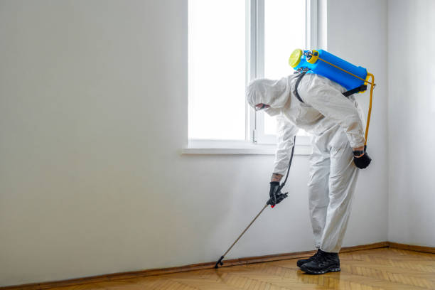 Best Wasp Removal Services  in Silver Springs, FL