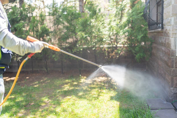 Best Mosquito Control Services  in Silver Springs, FL