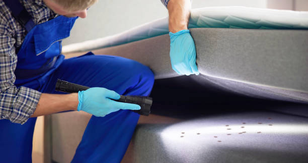 Best Emergency Pest Control  in Silver Springs, FL