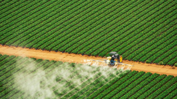 Best Pest Control Treatment  in Silver Springs, FL