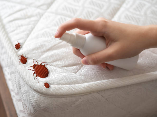 Trusted Silver Springs, FL Pest Control Experts